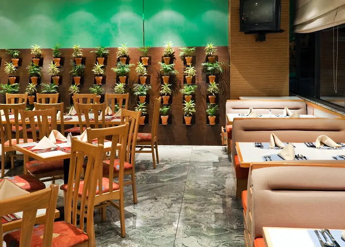Coyoacan Hotel México DF