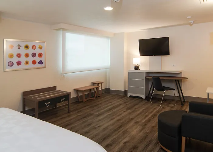 Hotel Coyoacan 4*