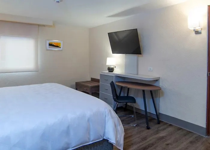 Hotel Coyoacan México DF